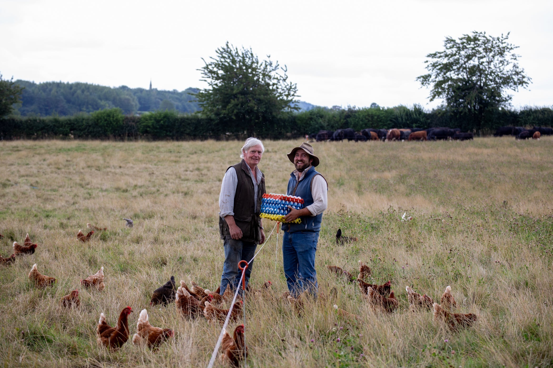Now in Stock: Pasture-Raised Eggs from Mallard Grange